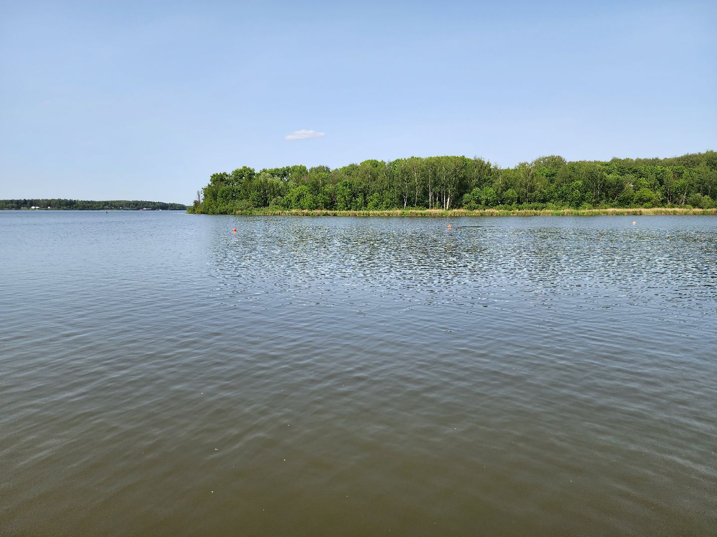 солнечногорск, пляж, лето, сенеж, жители ,