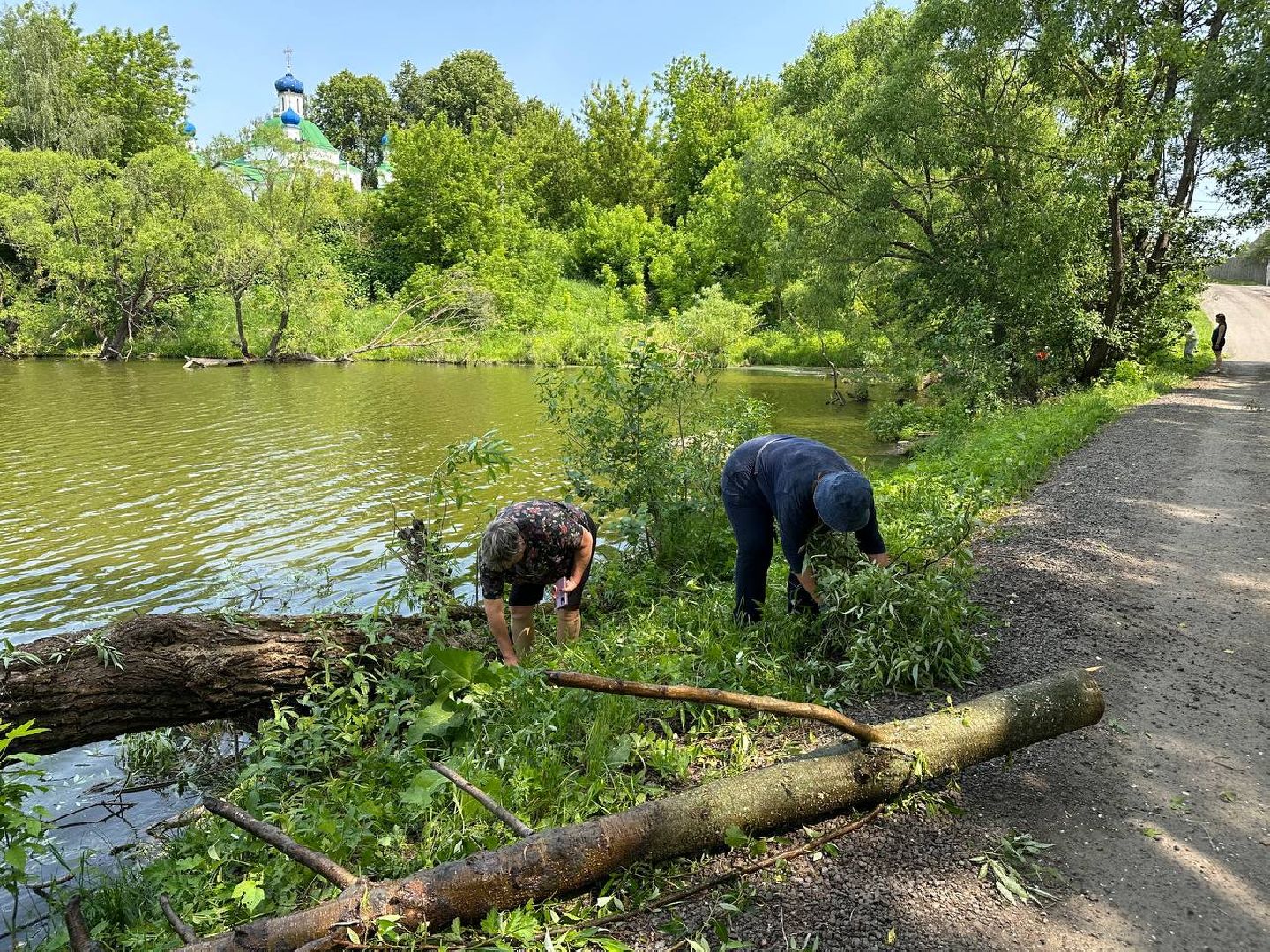 экологическая акция, домодедово,