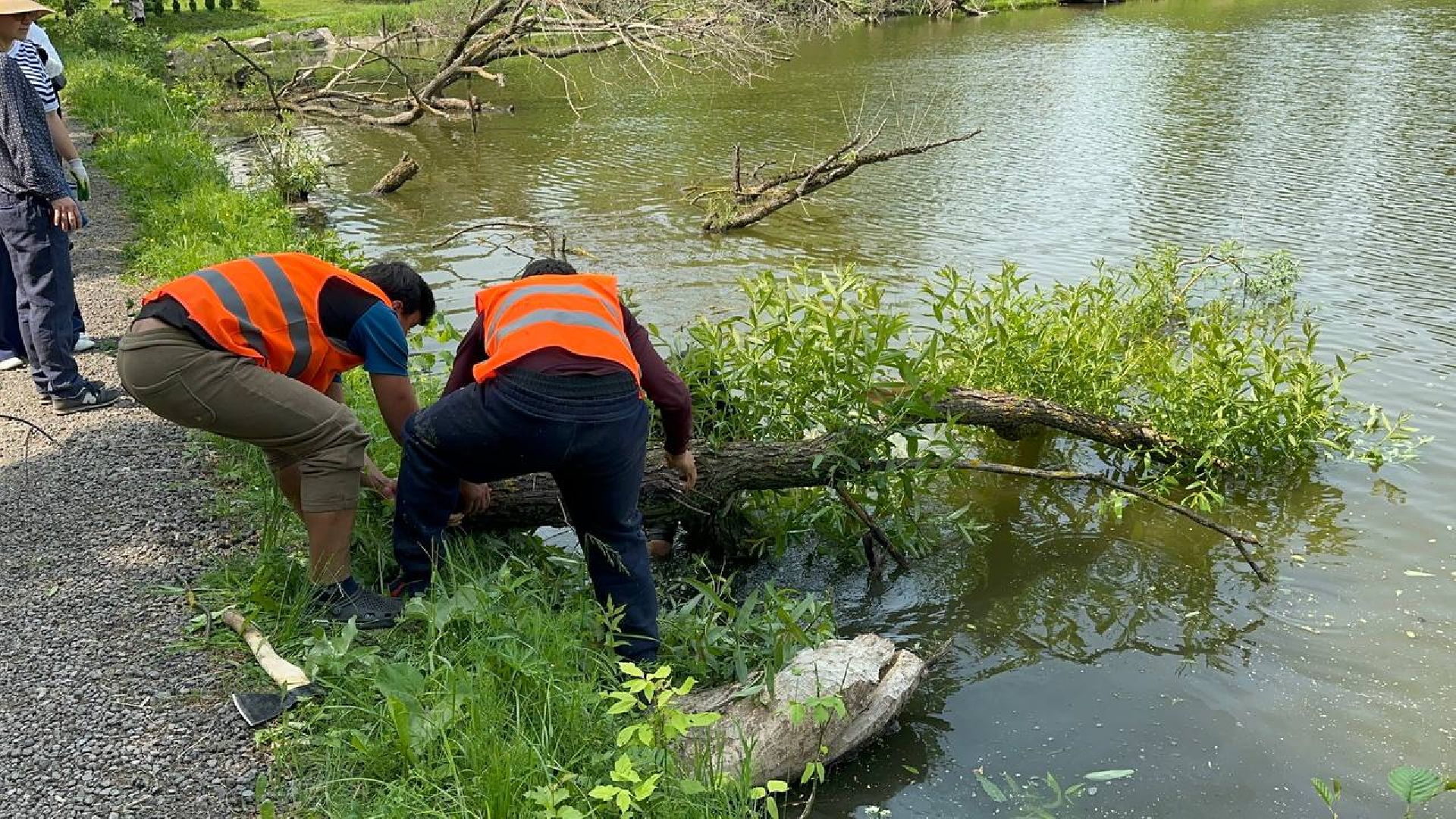 экологическая акция, домодедово,