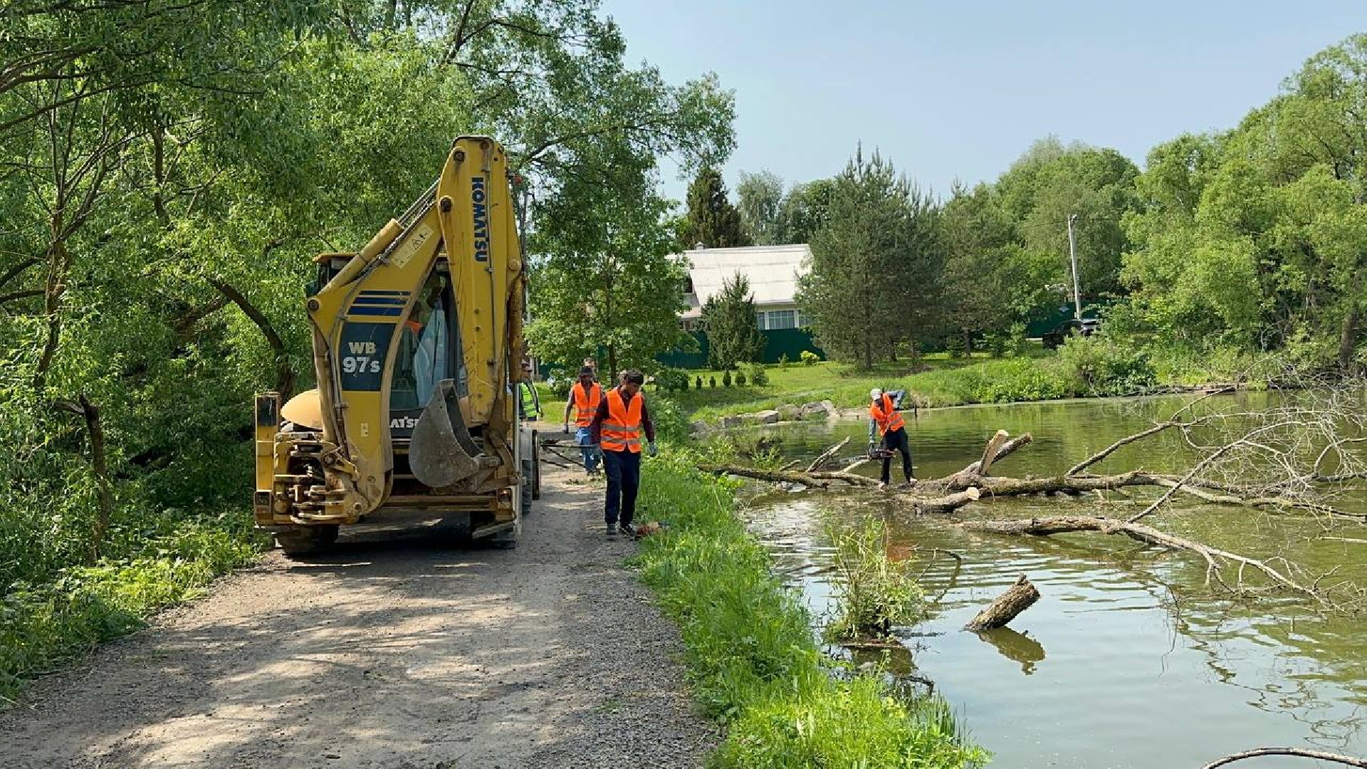 экологическая акция, домодедово,