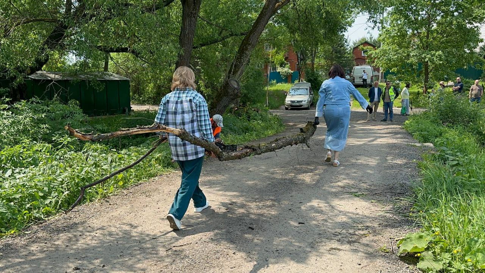 экологическая акция, домодедово,