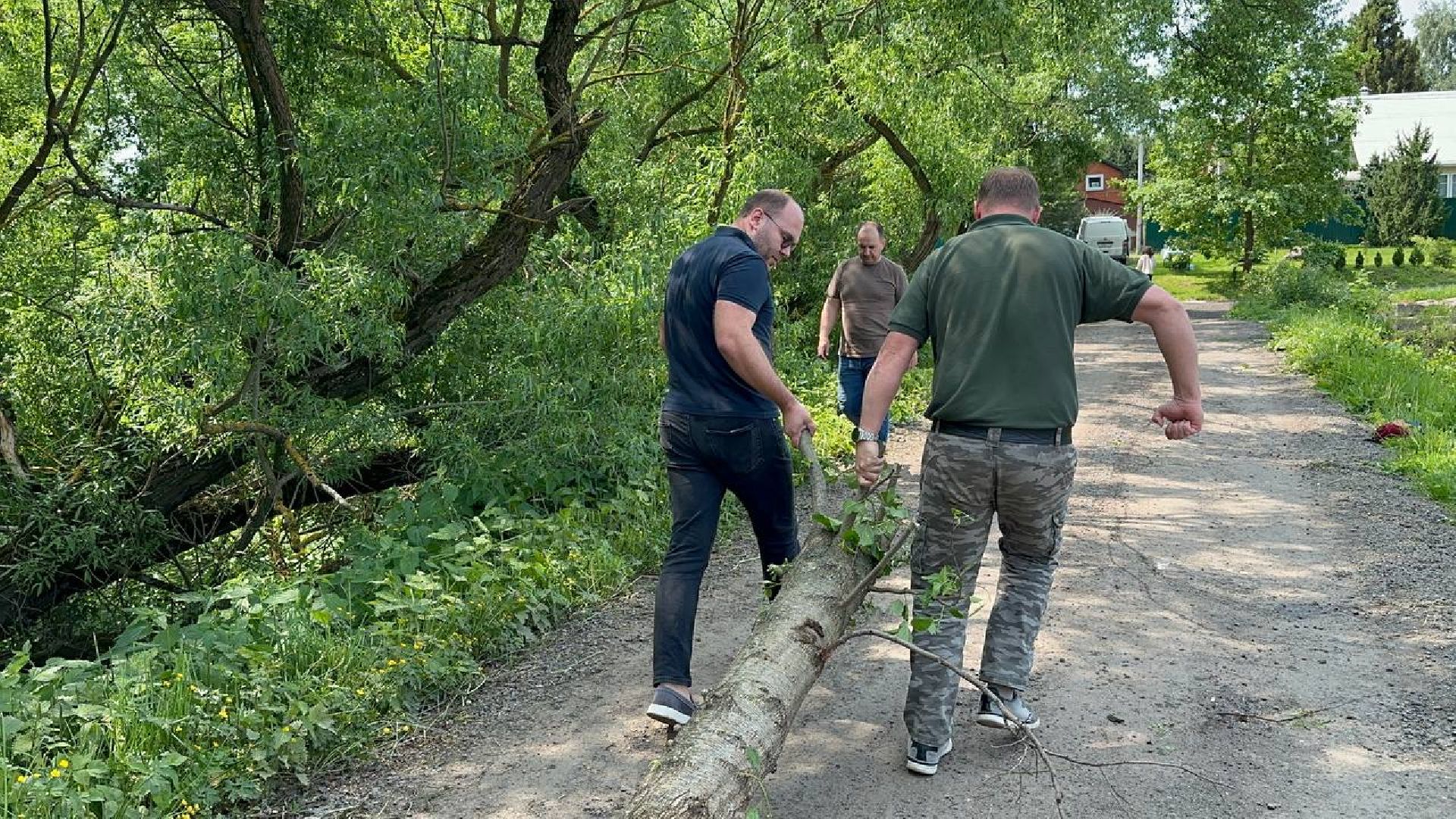 экологическая акция, домодедово,