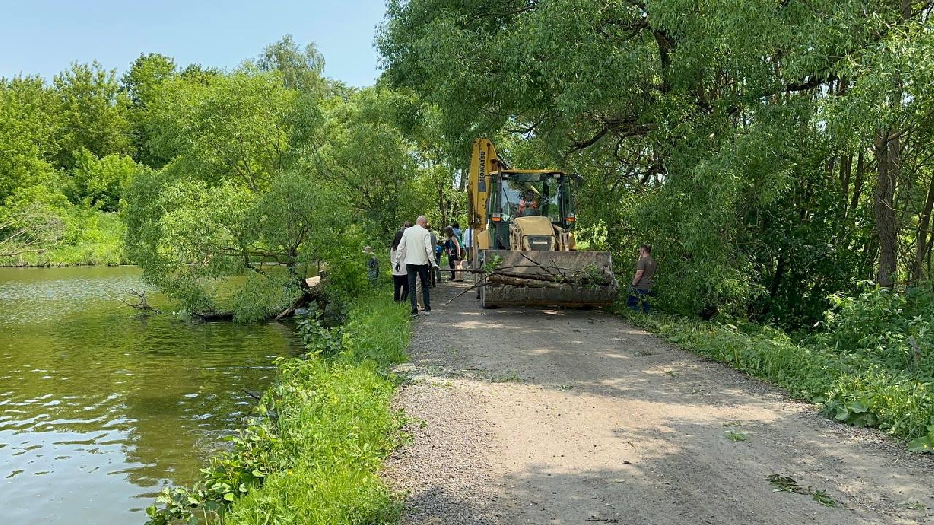 экологическая акция, домодедово,