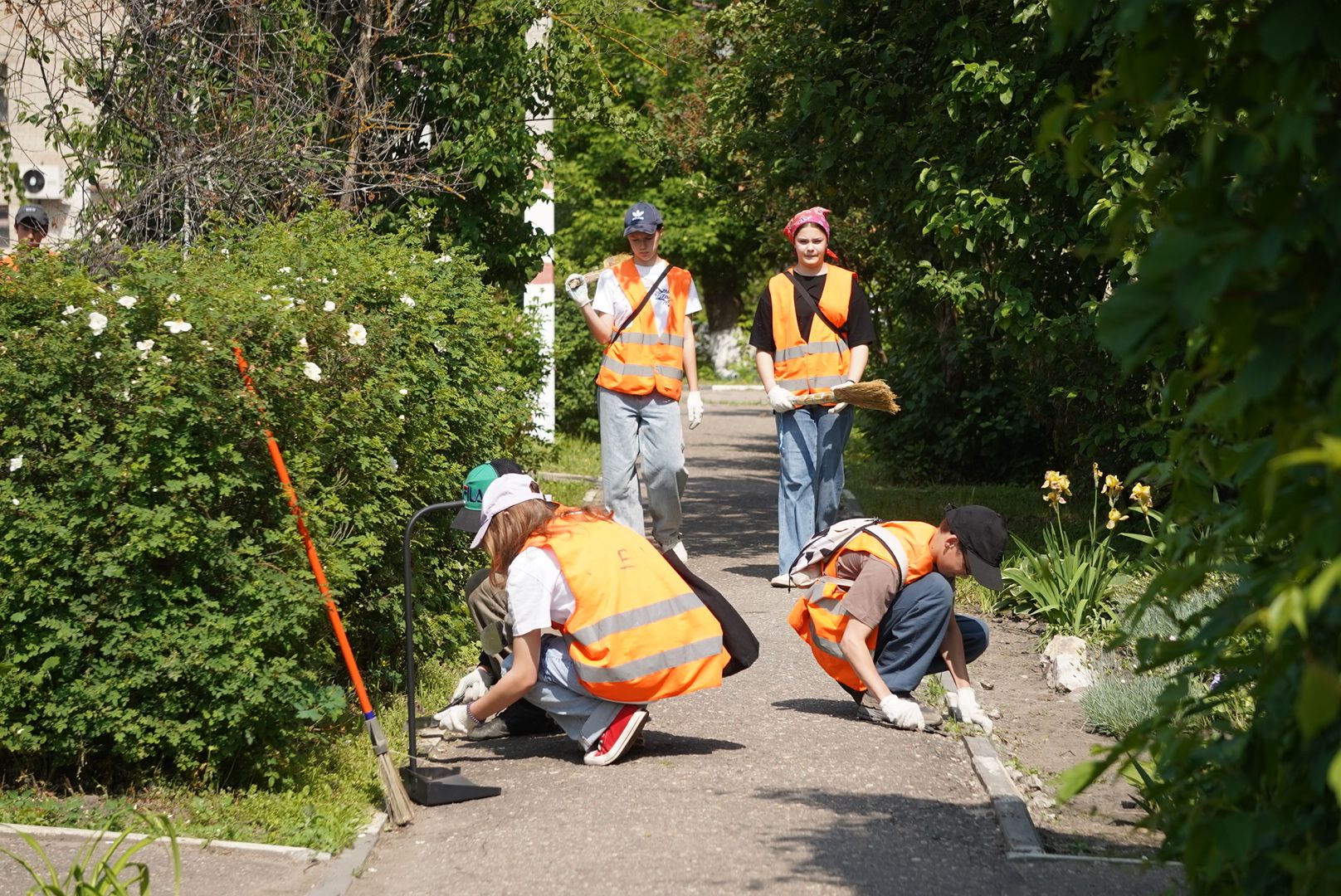 Электрогорск , Молоджь , Благоустройство ,