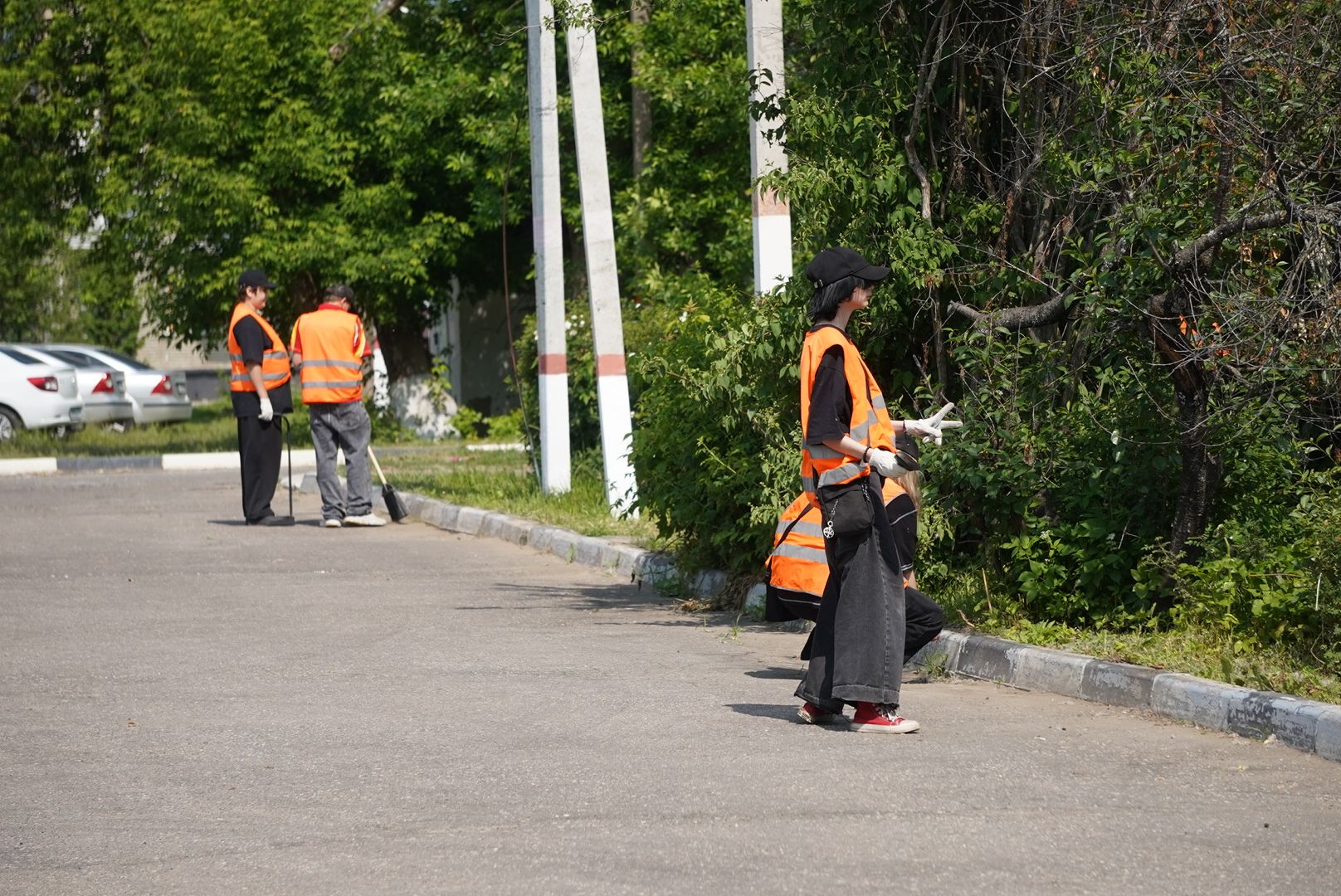 Электрогорск , Молоджь , Благоустройство ,