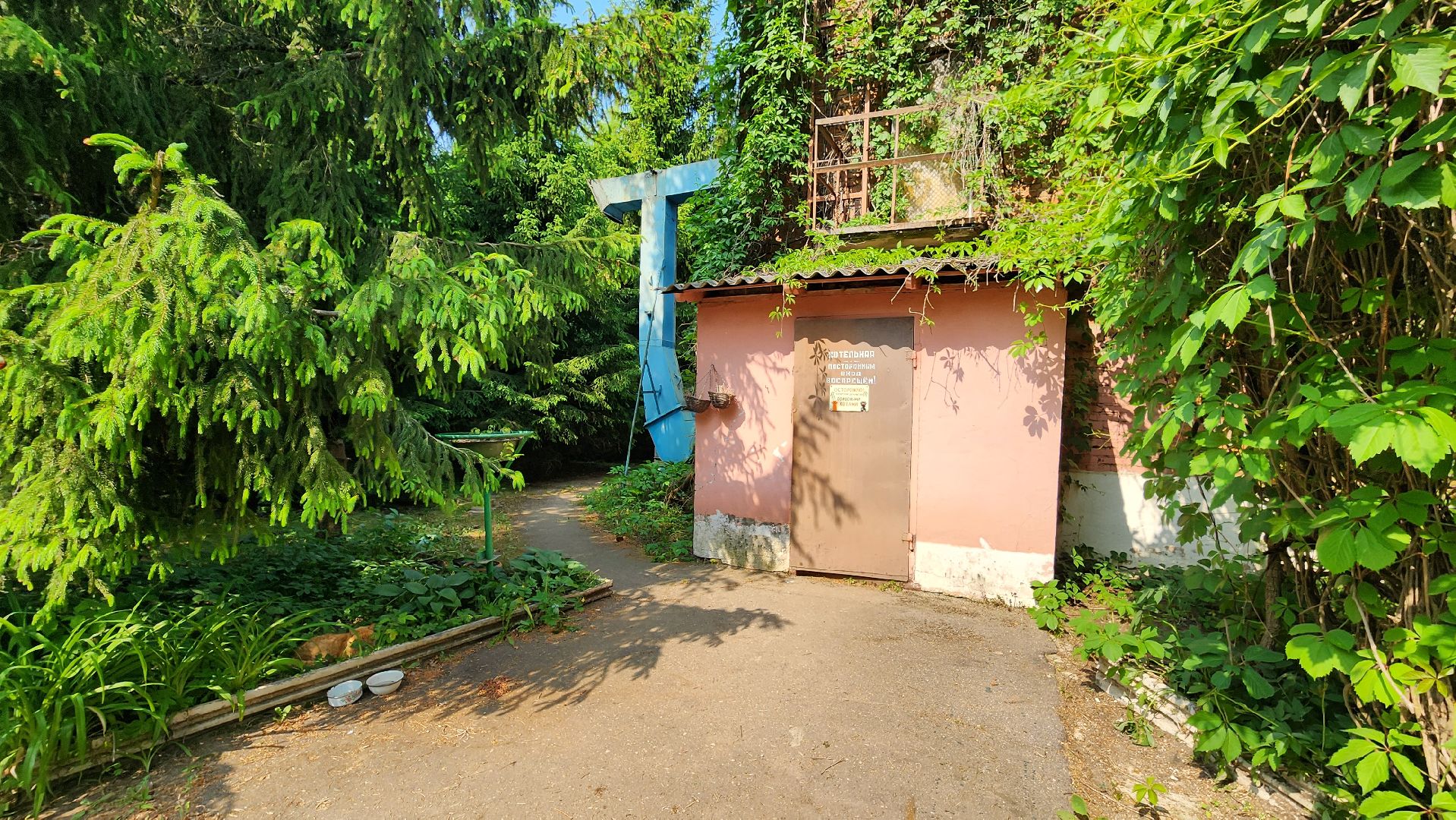 Руза, Котельные, плановый ремонт, Жкх,