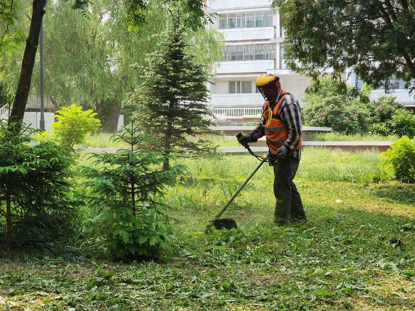 пущино, серпухов, благоустройсво,