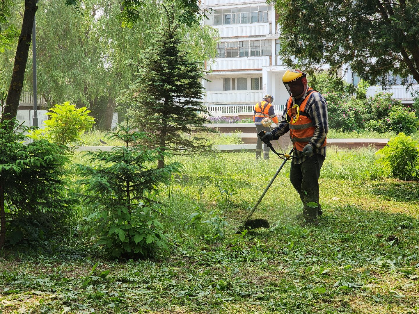 пущино, серпухов, благоустройсво,