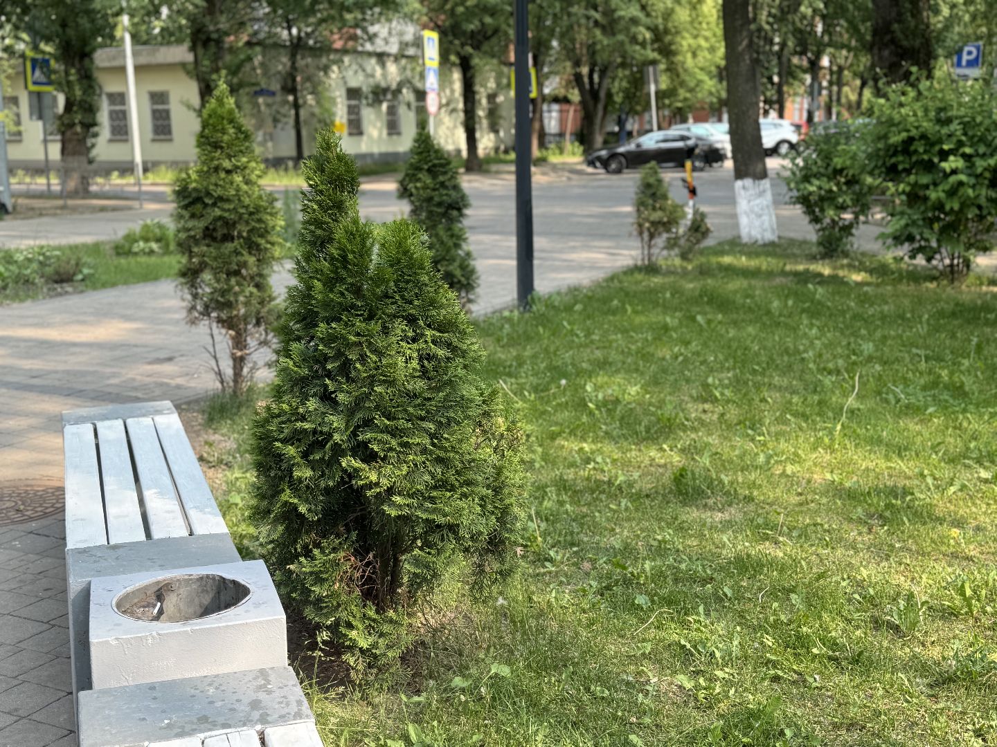 благоустройство, экологическая акция, дк балашиха,