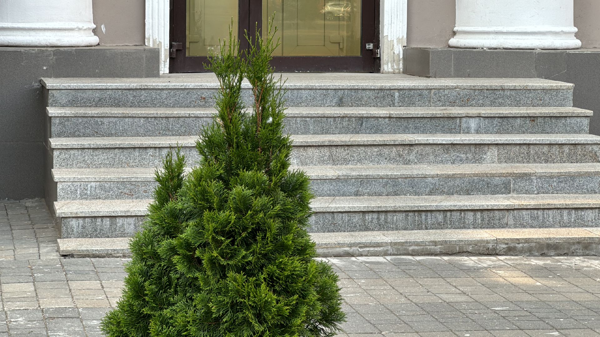 благоустройство, экологическая акция, дк балашиха,