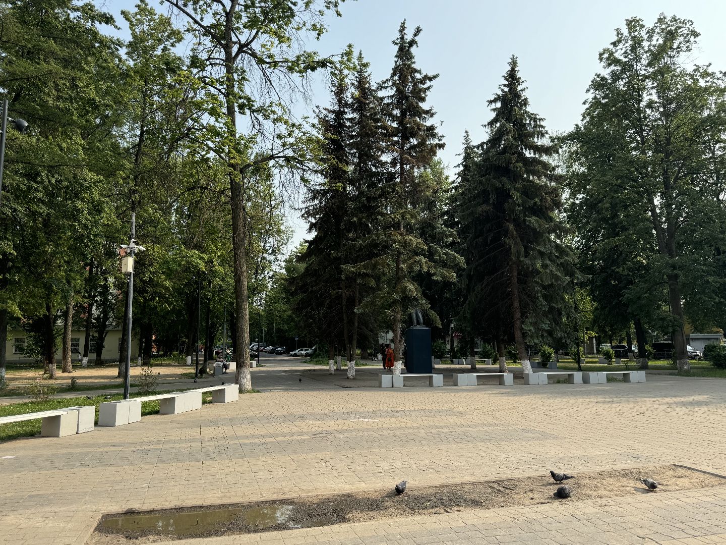 благоустройство, экологическая акция, дк балашиха,