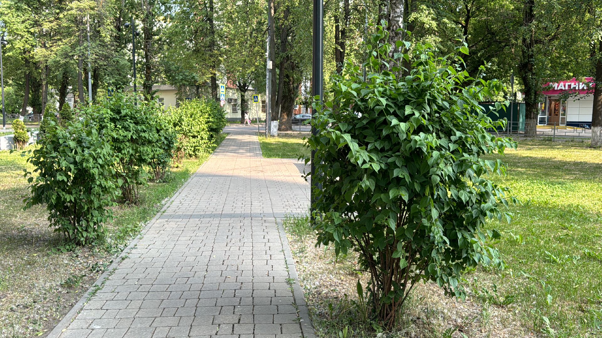 благоустройство, экологическая акция, дк балашиха,