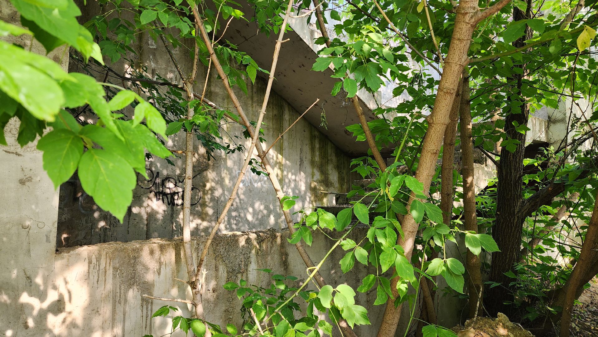 истра, благоустройство, долгострой,