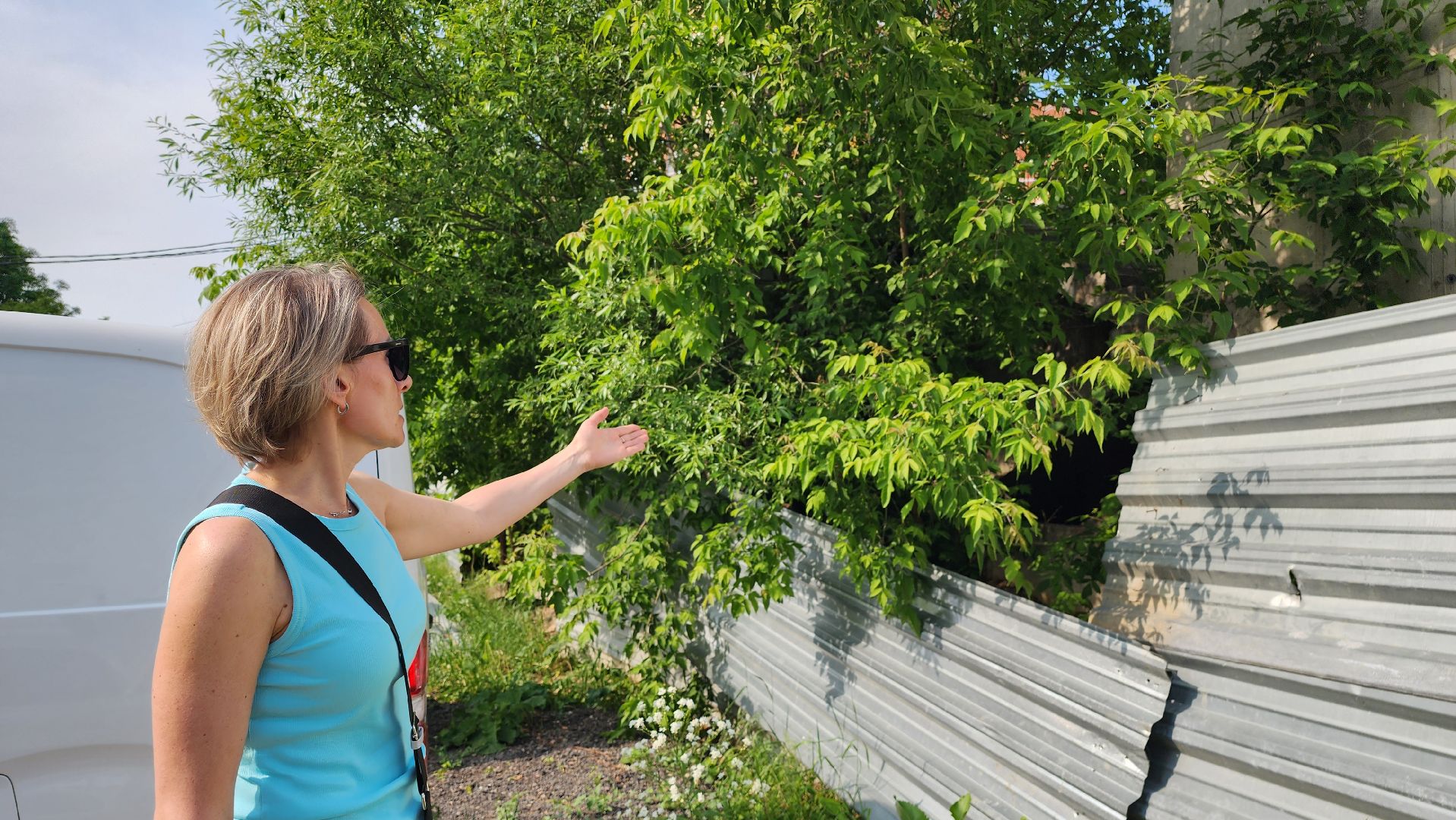 истра, благоустройство, долгострой,