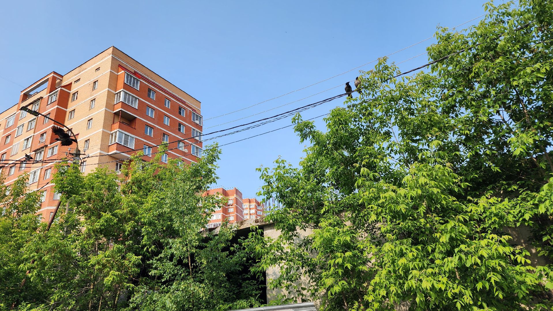 истра, благоустройство, долгострой,