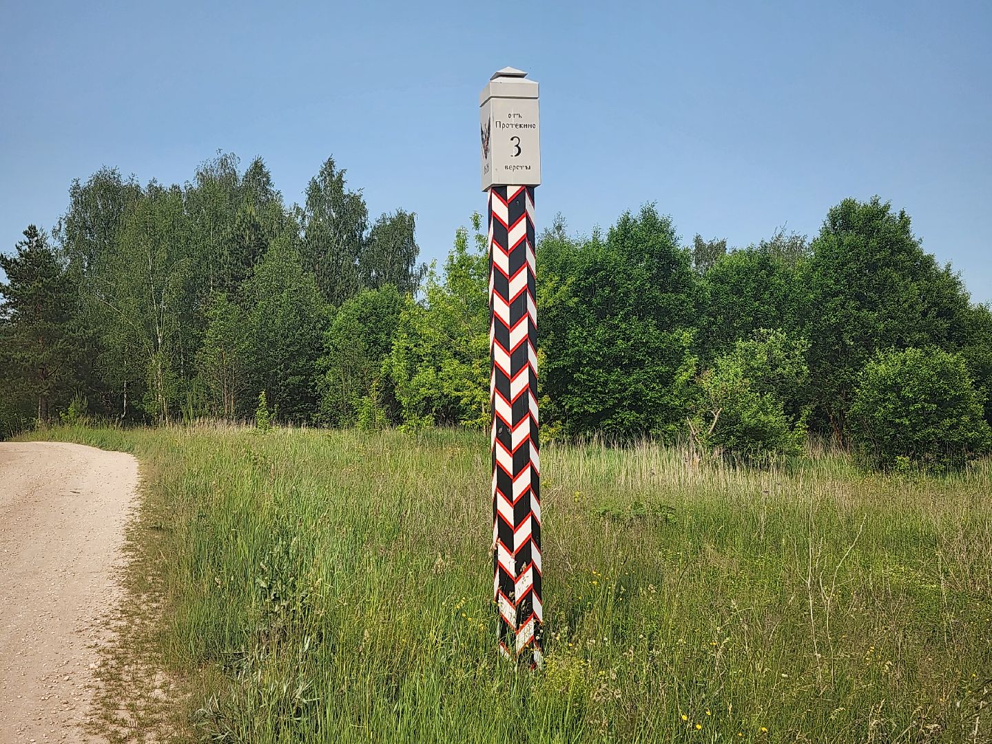 Зарайск, борьба с борщевиком,Экология,