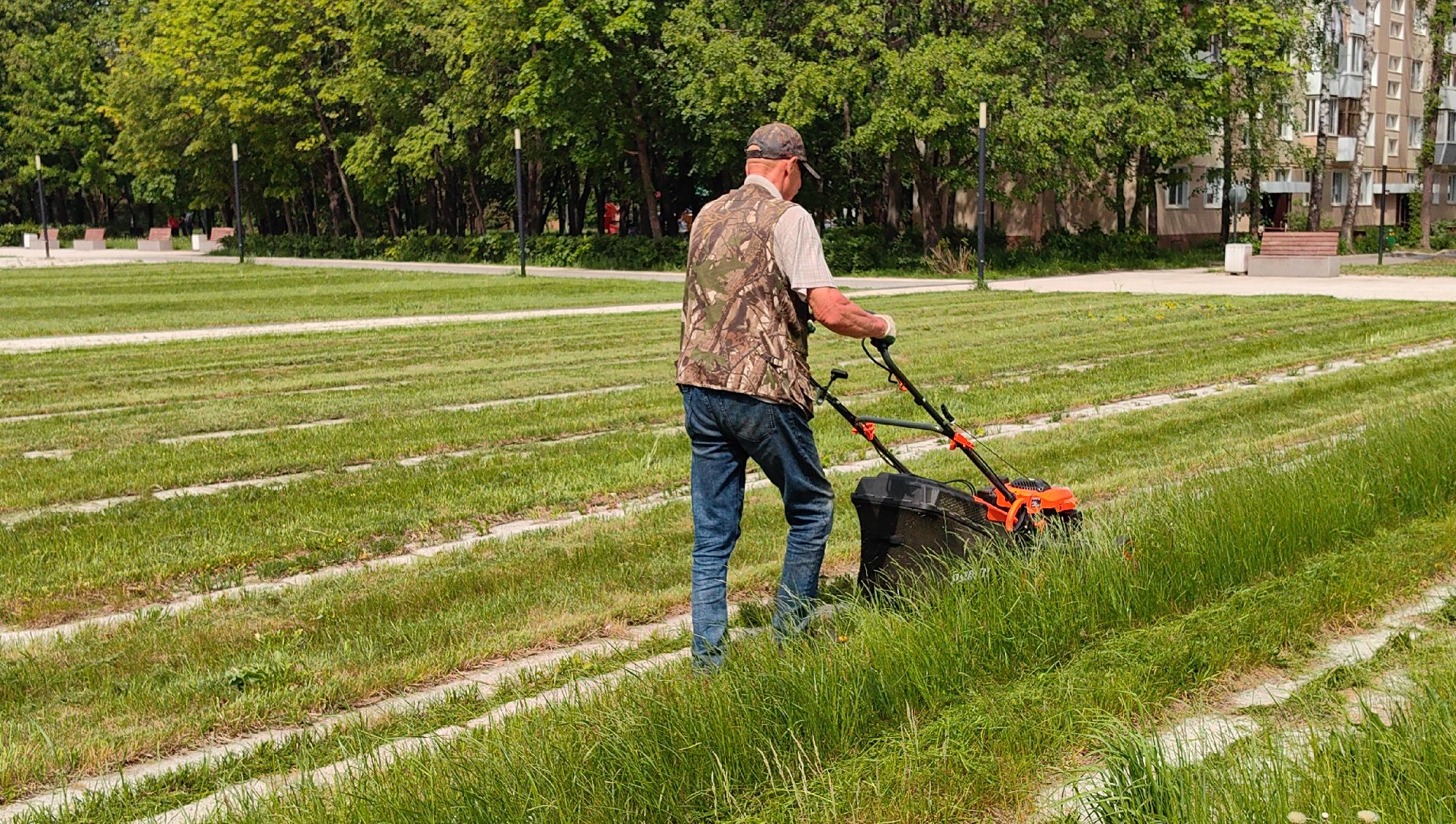 газон, сквер, трава, коммунальная служба,