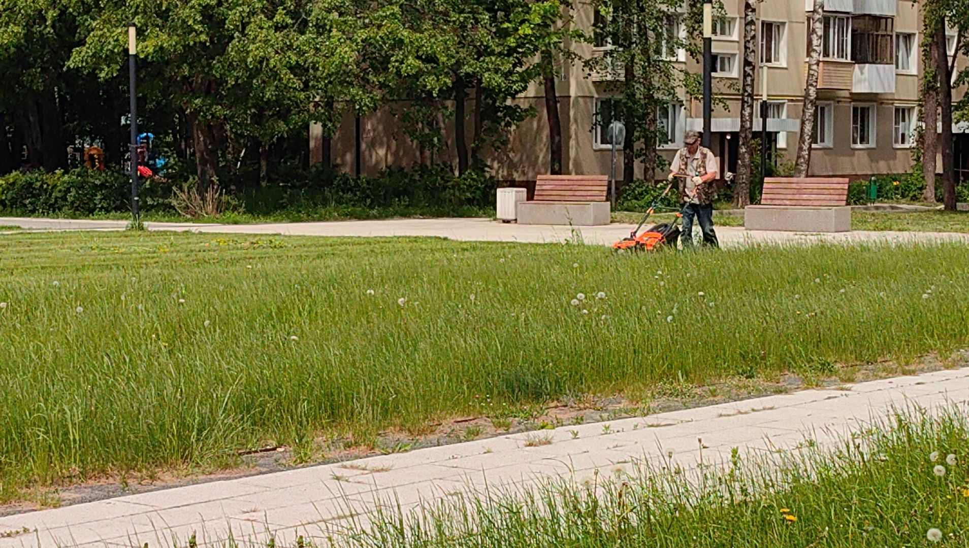 газон, сквер, трава, коммунальная служба,