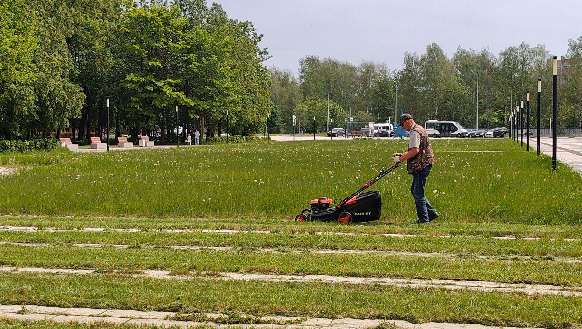 газон, сквер, трава, коммунальная служба,