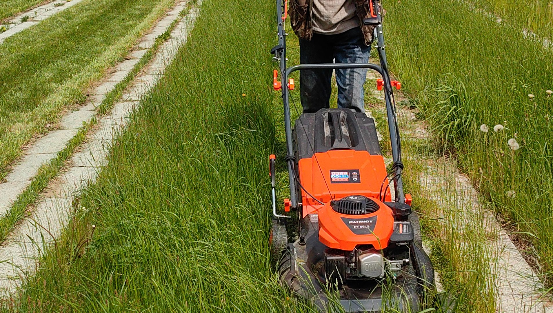 газон, сквер, трава, коммунальная служба,