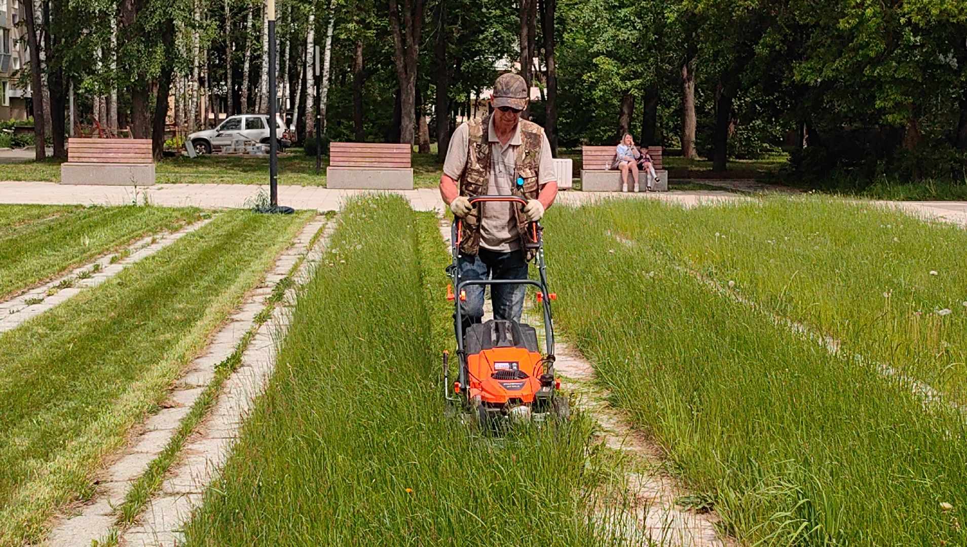 газон, сквер, трава, коммунальная служба,