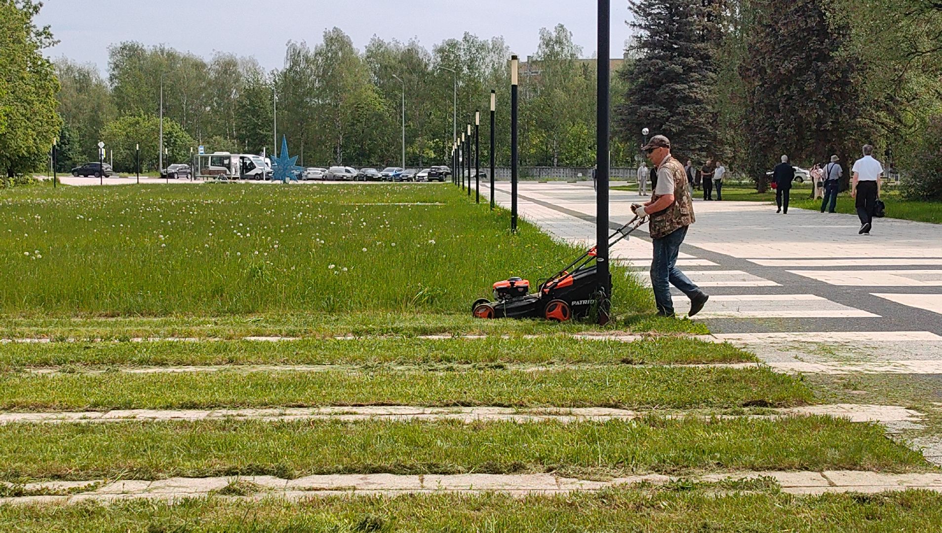 газон, сквер, трава, коммунальная служба,