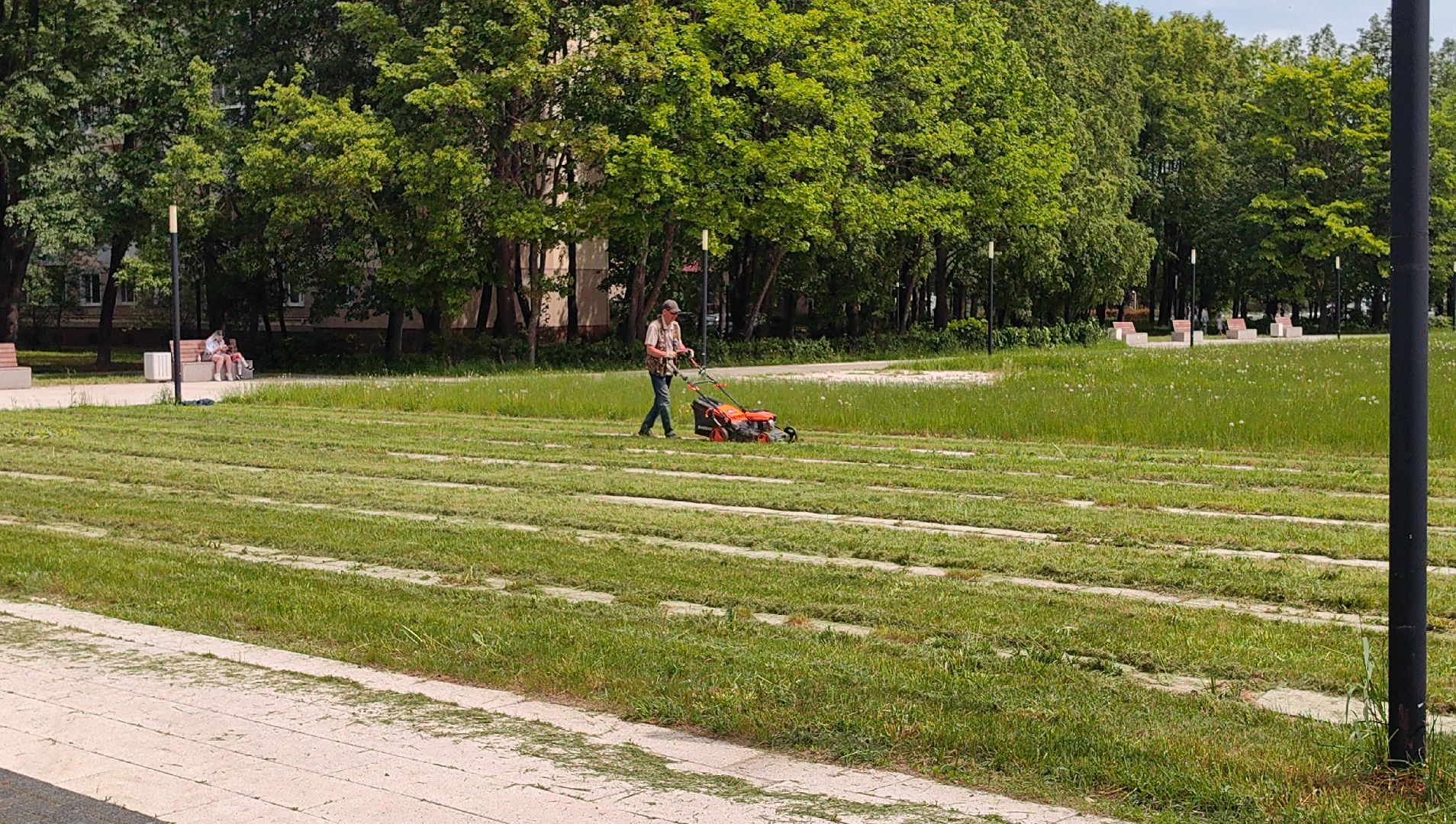 газон, сквер, трава, коммунальная служба,