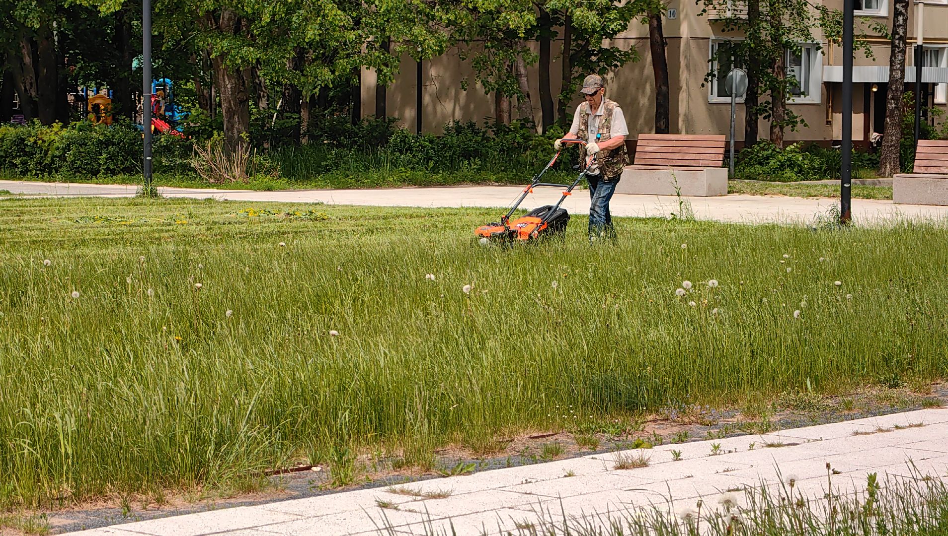 газон, сквер, трава, коммунальная служба,