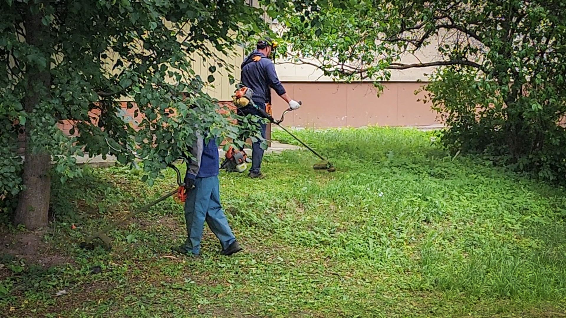 бронницы, покос травы в бронницах, благоустройство ,