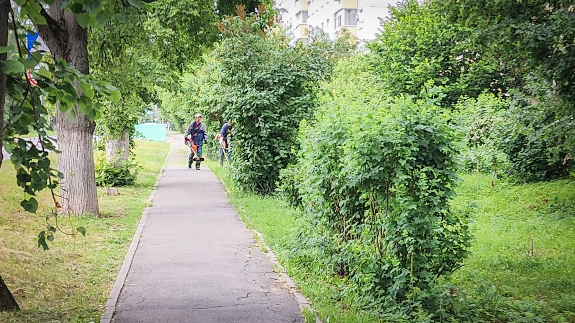 бронницы, покос травы в бронницах, благоустройство ,