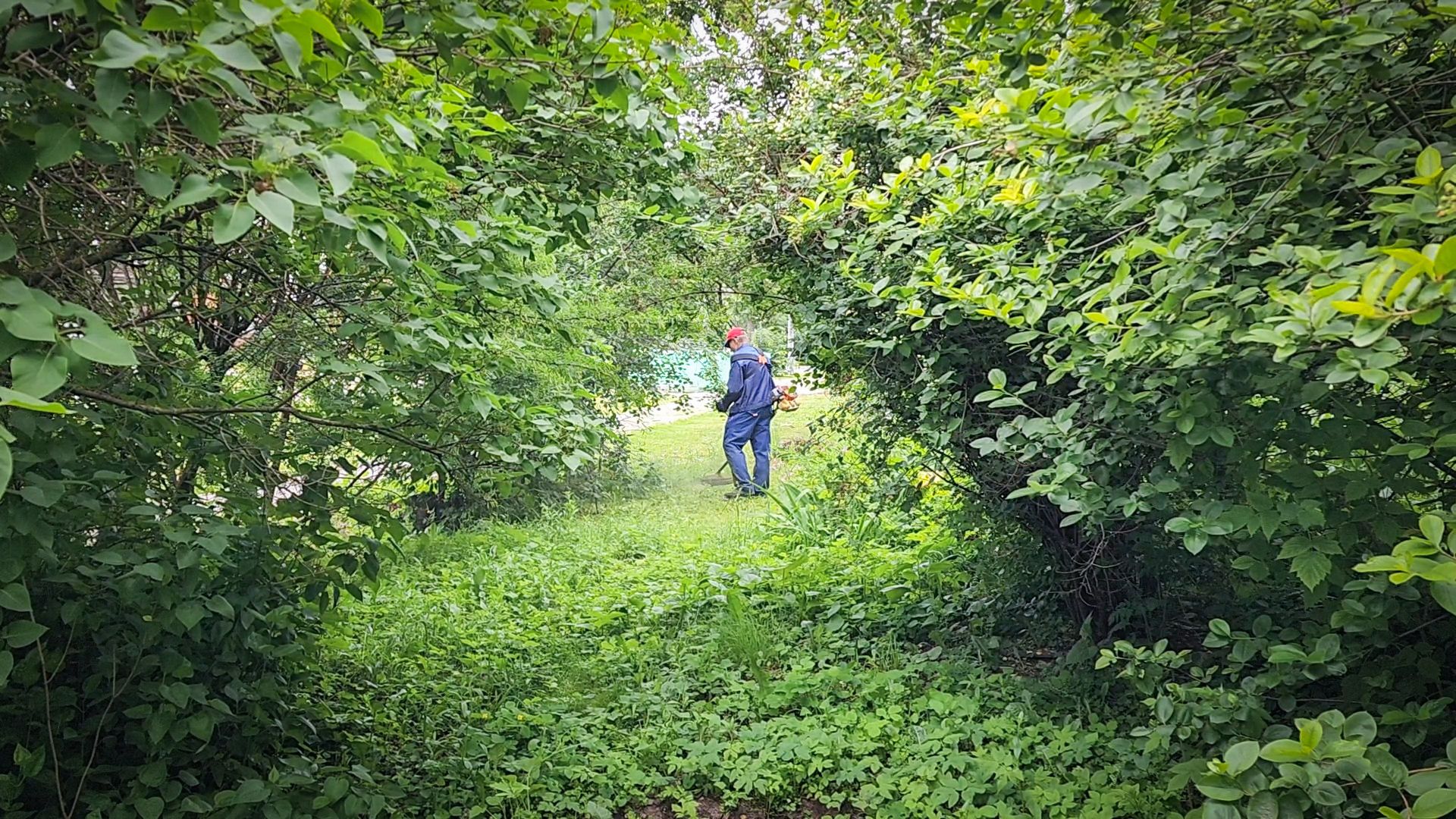 бронницы, покос травы в бронницах, благоустройство ,