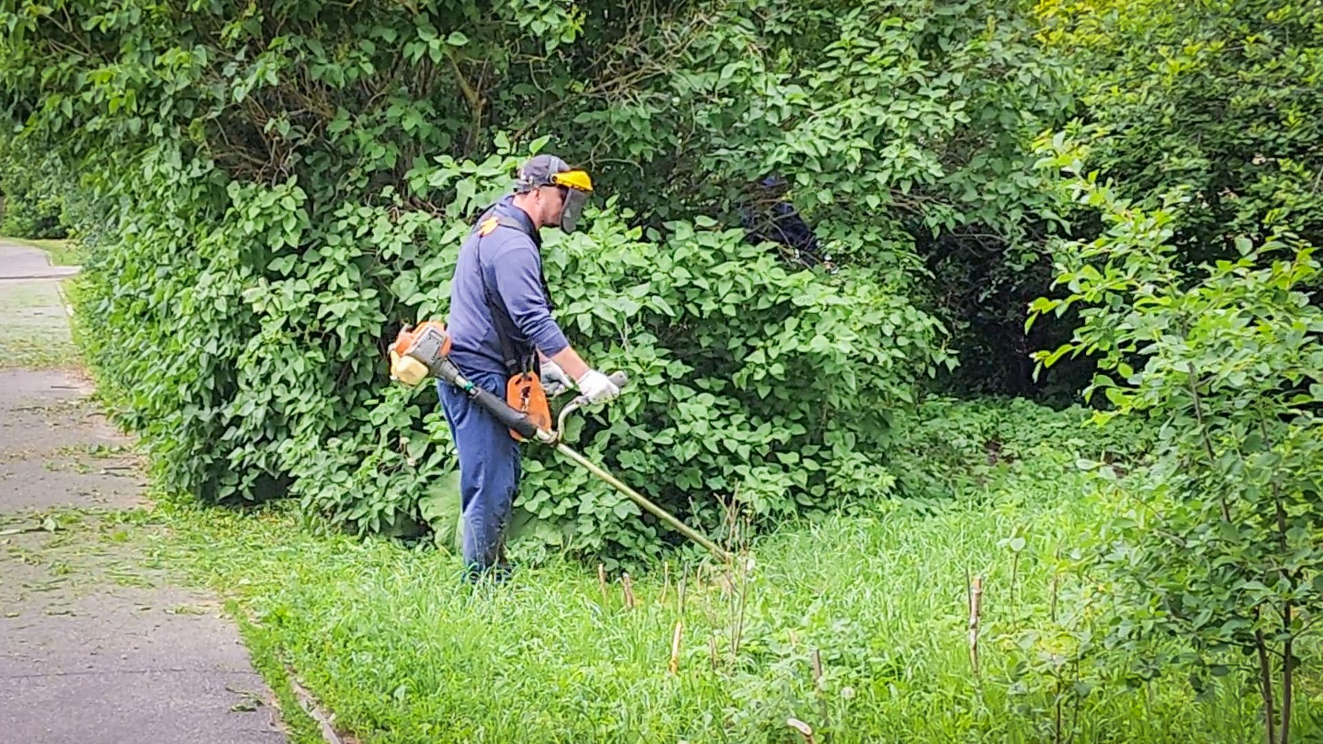 бронницы, покос травы в бронницах, благоустройство ,
