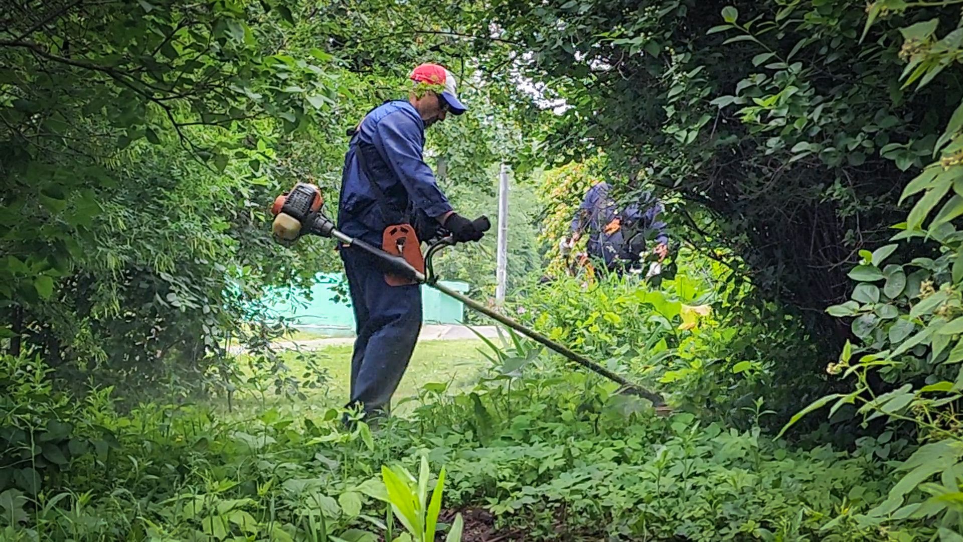 бронницы, покос травы в бронницах, благоустройство ,