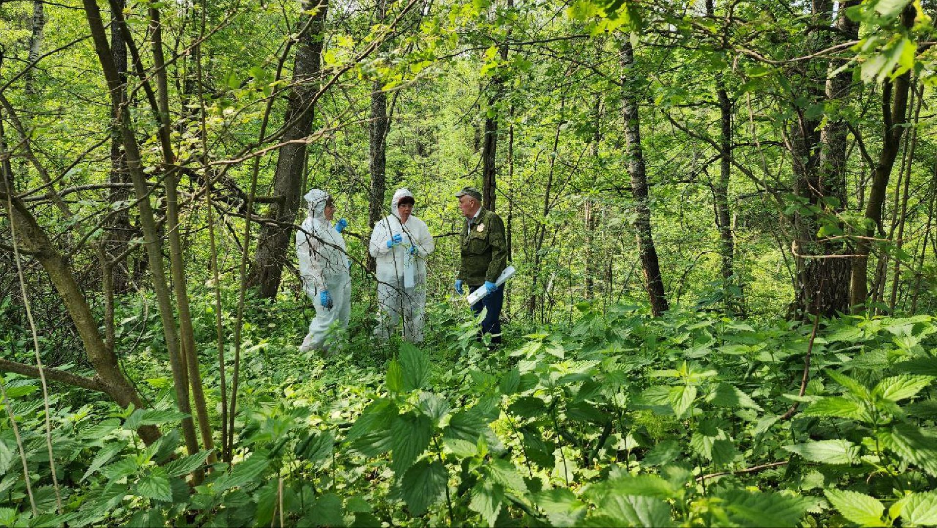 Дмитров, Вакцинация диких животных, Госветстанция, Минэкологии,