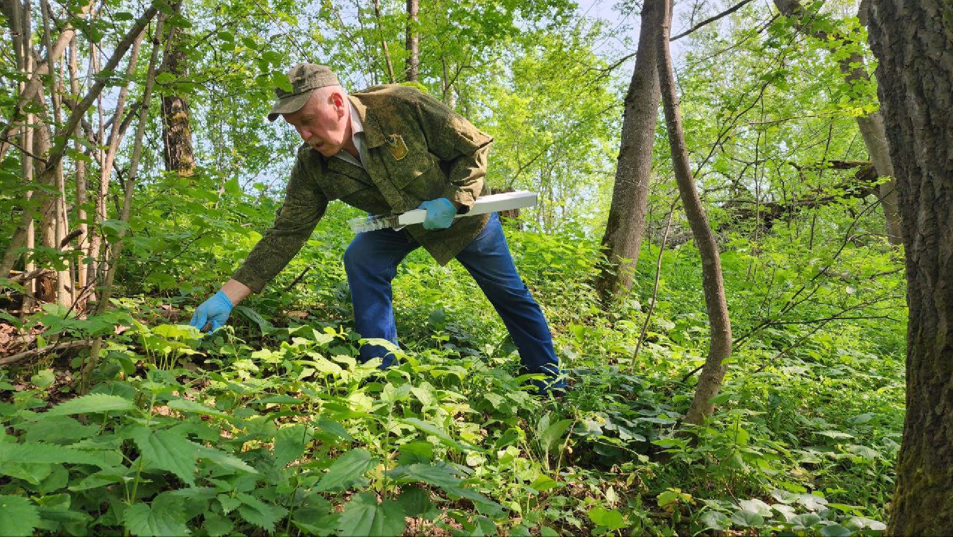 Дмитров, Вакцинация диких животных, Госветстанция, Минэкологии,