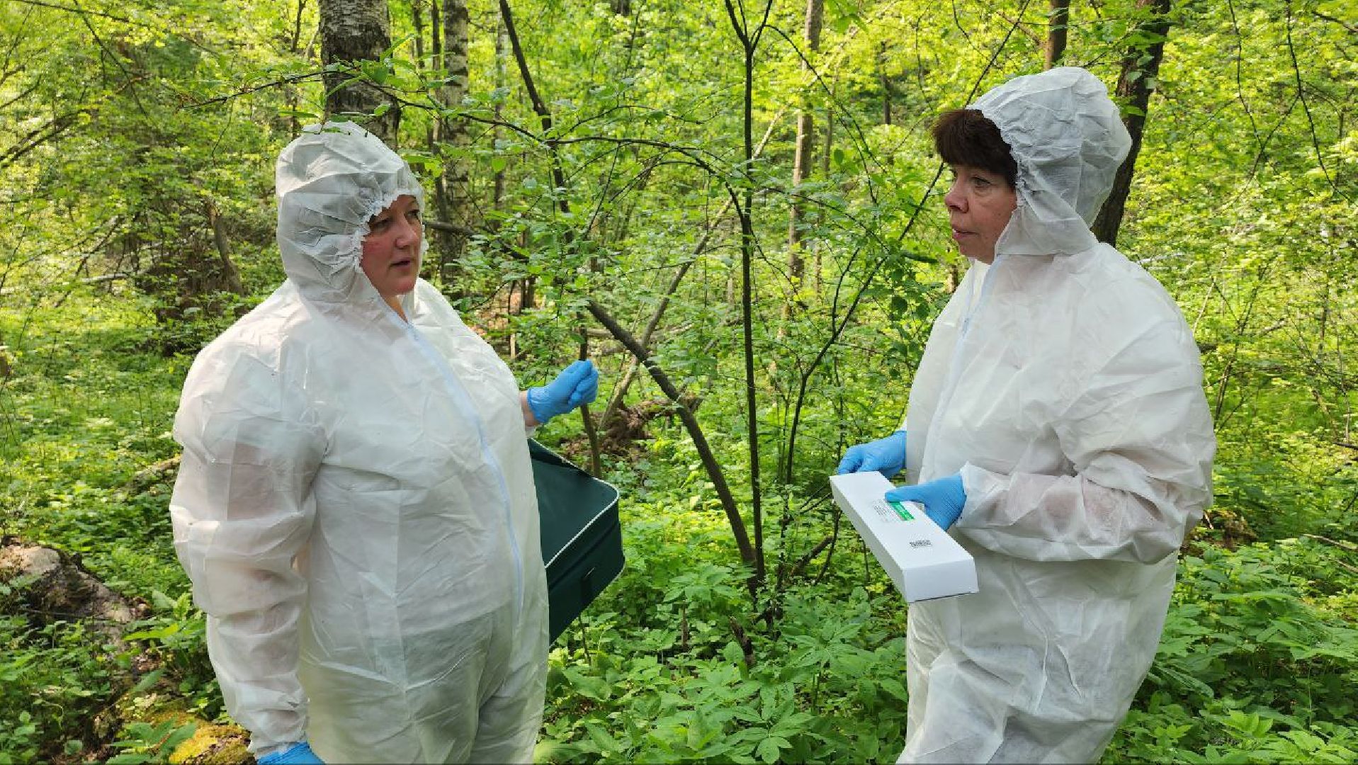 Дмитров, Вакцинация диких животных, Госветстанция, Минэкологии,