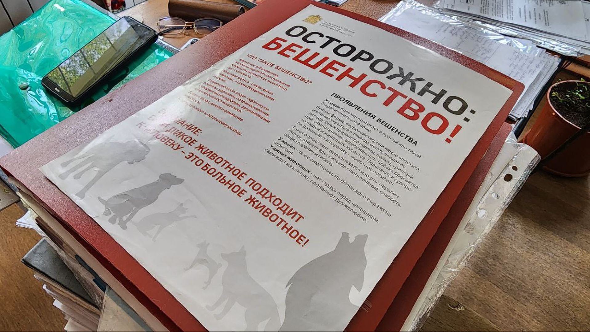 Дмитров, Вакцинация диких животных, Госветстанция, Минэкологии,