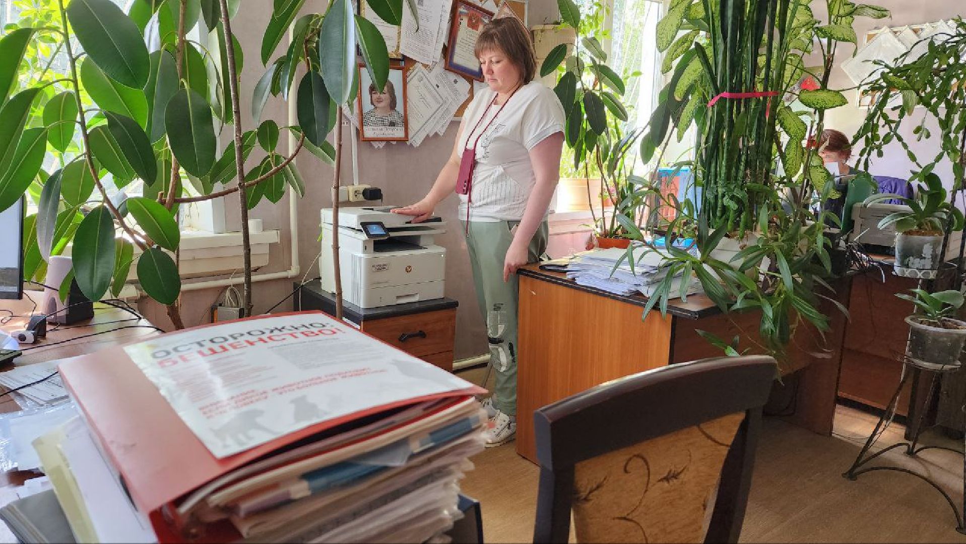 Дмитров, Вакцинация диких животных, Госветстанция, Минэкологии,