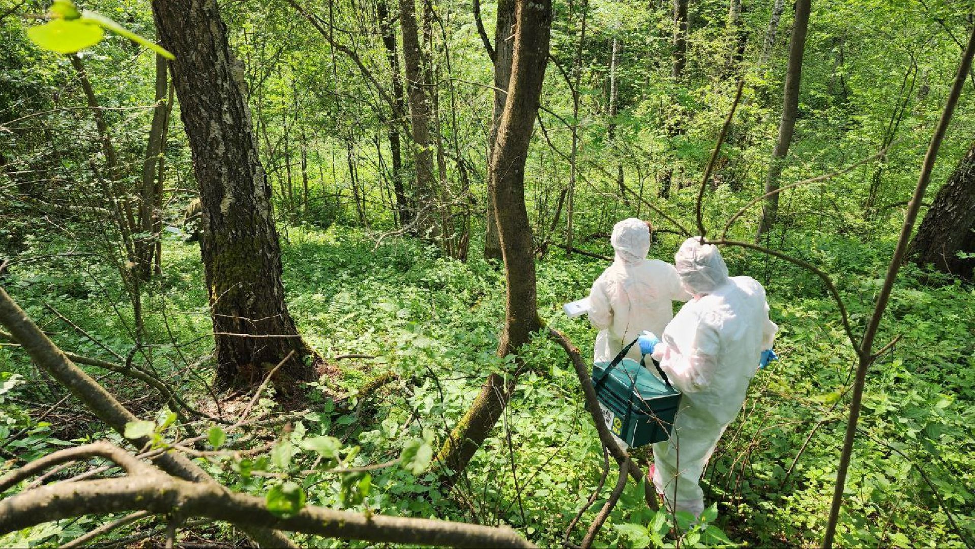 Дмитров, Вакцинация диких животных, Госветстанция, Минэкологии,