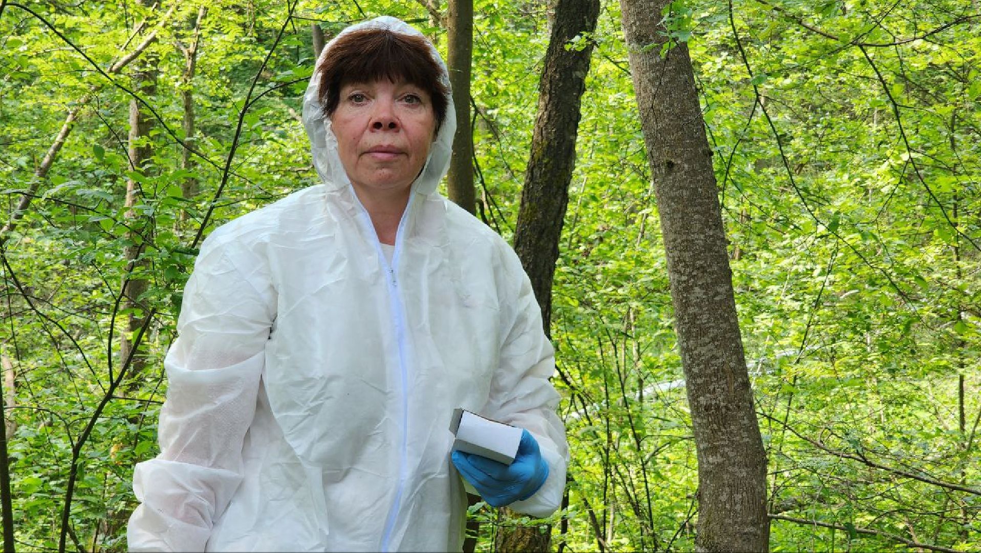 Дмитров, Вакцинация диких животных, Госветстанция, Минэкологии,