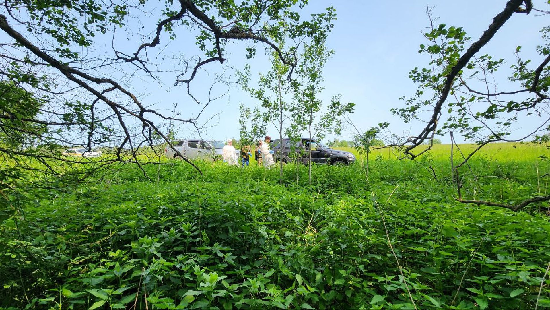 Дмитров, Вакцинация диких животных, Госветстанция, Минэкологии,
