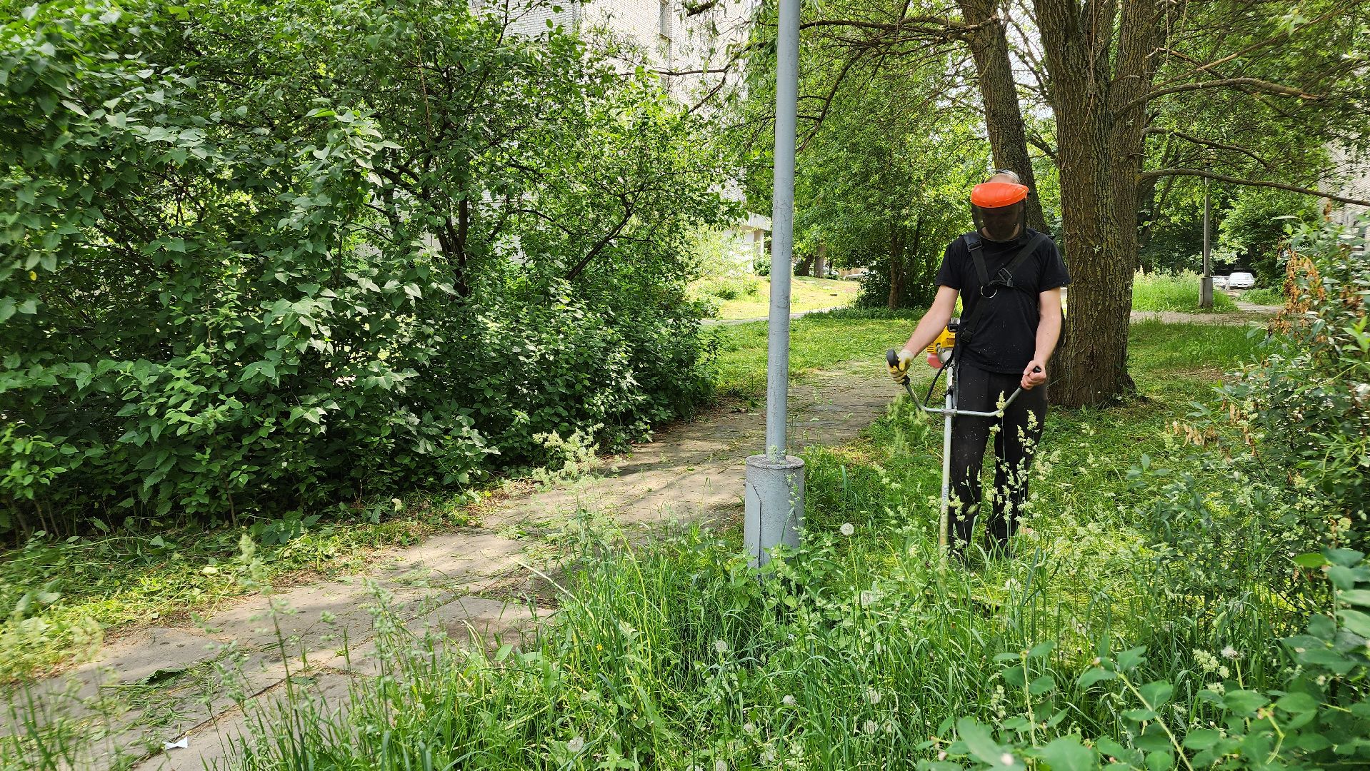 благоустройство, покос травы, протвино,