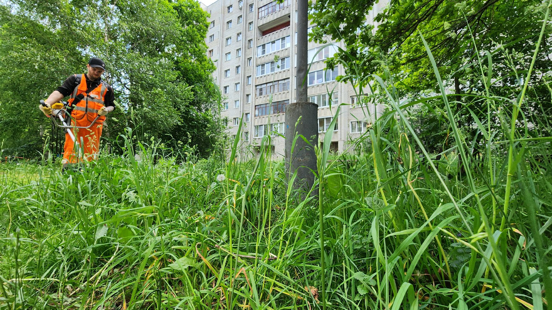 благоустройство, покос травы, протвино,