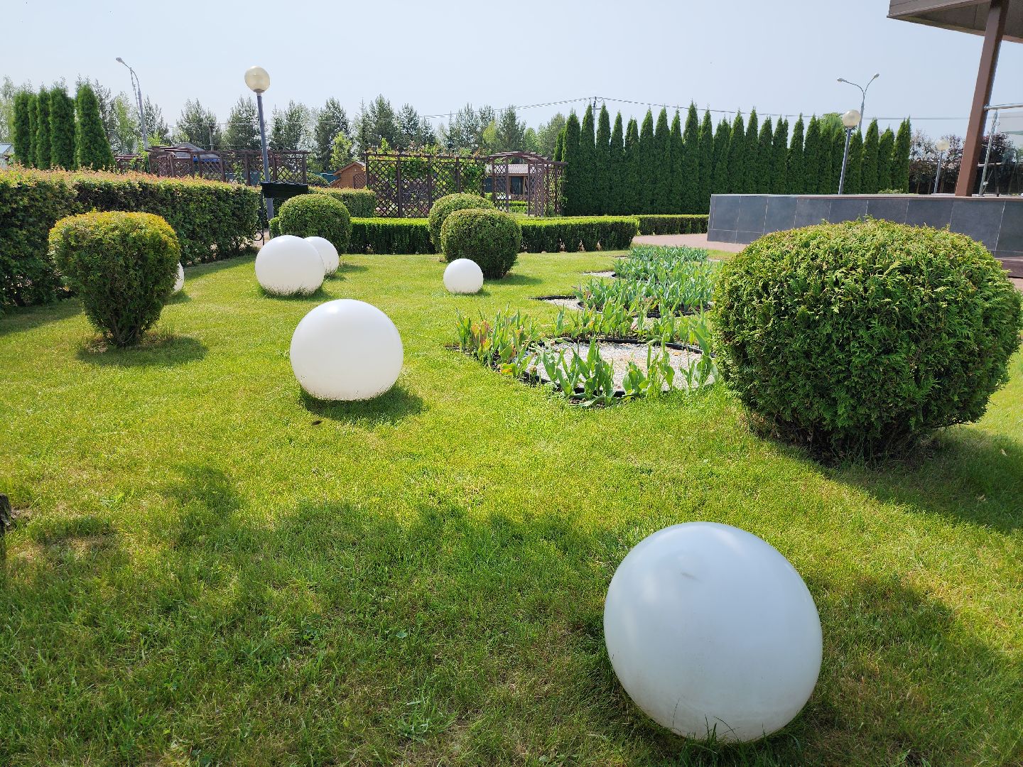 серпухов, подмосковье, питомник растений,ПДК Южный,озеленение,