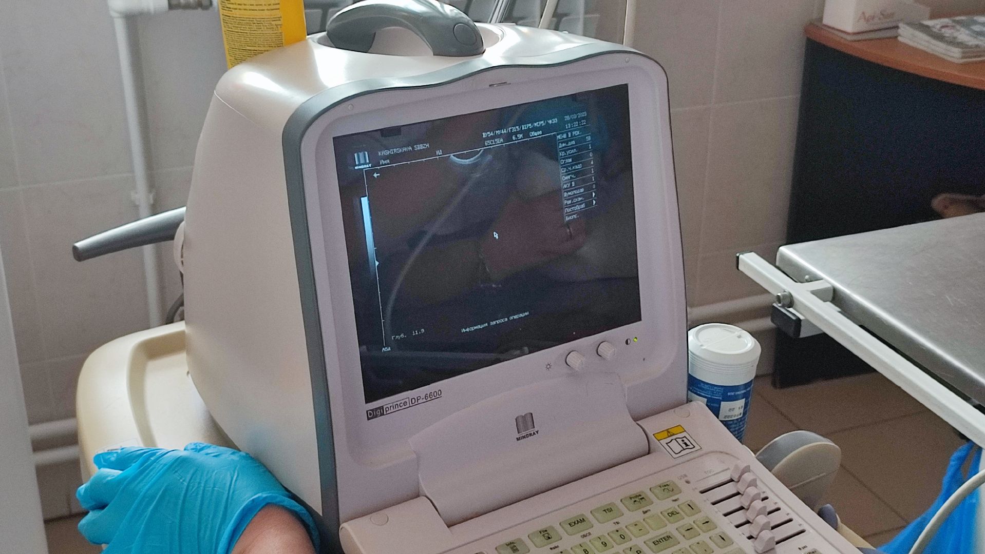 Кашира, ветеринар, пироплазмоз, собаки, клещи