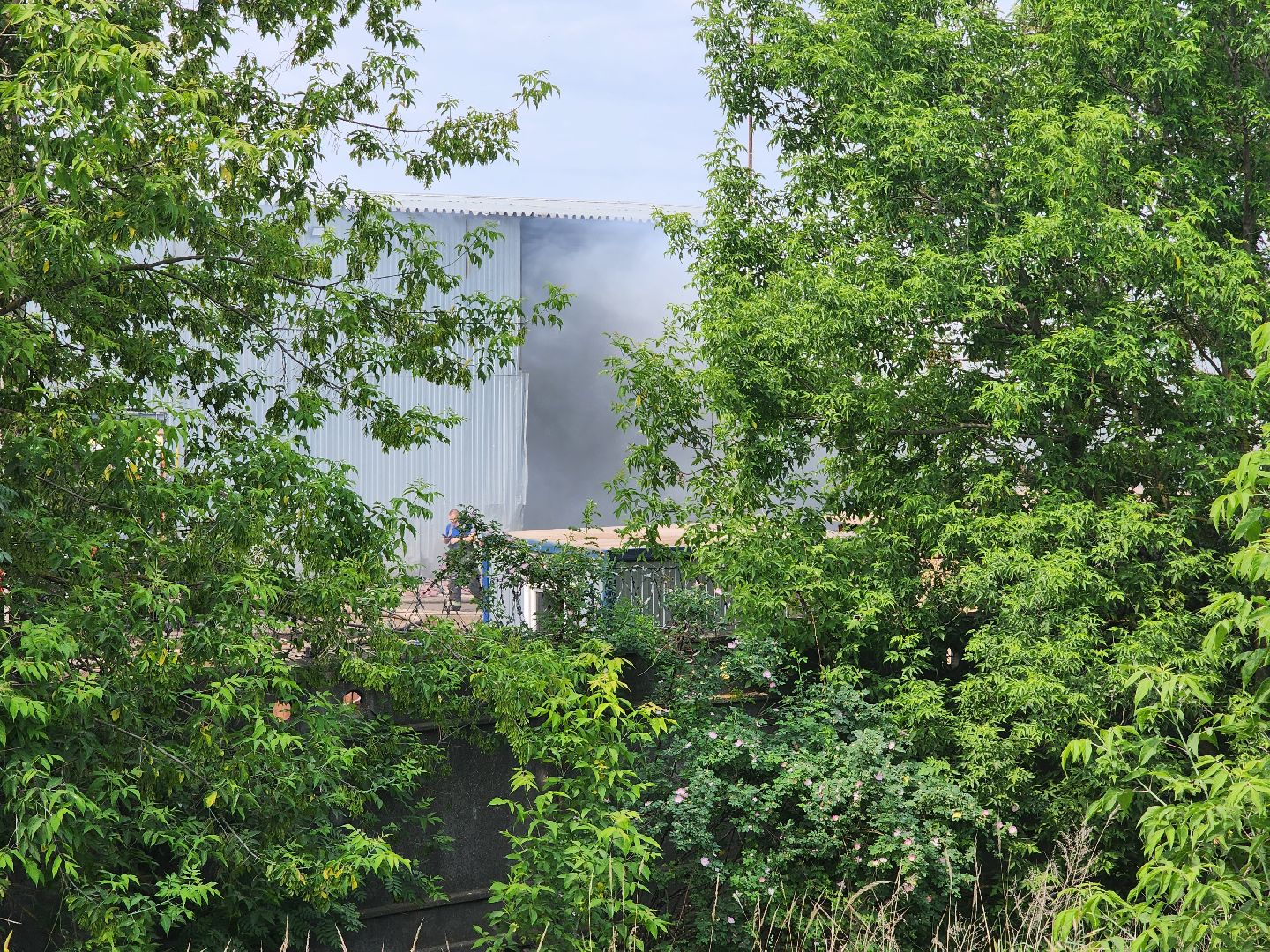 раменское, чп, пожар в сафоново,