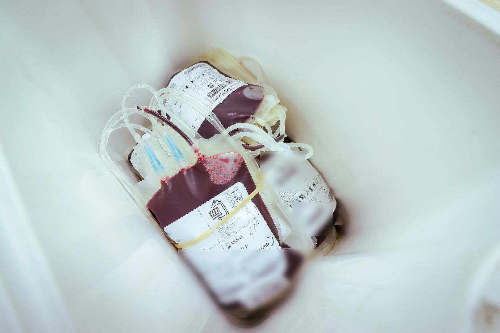 клин, общество, медицина, доноры, подмосковье,