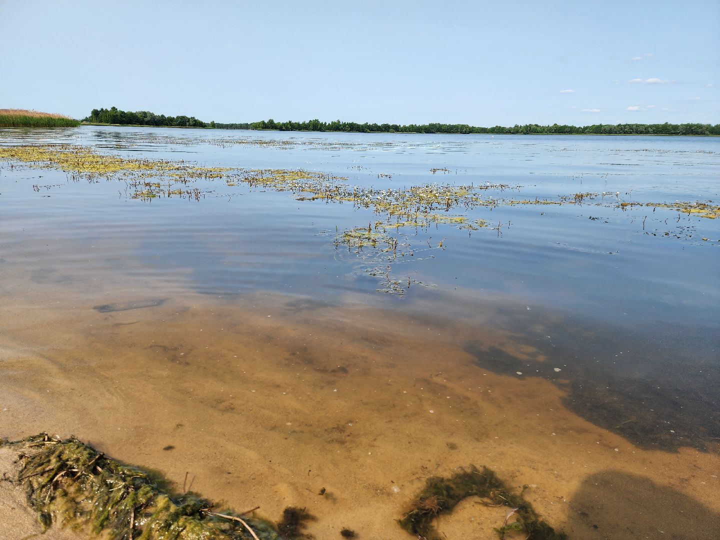 шатура, вода, купание, озёра,