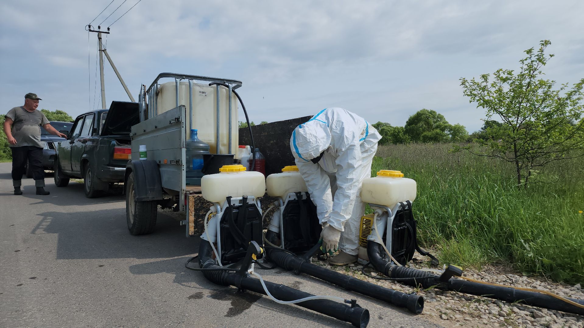 ступино, экология, борщевик, борщевик сосновского,