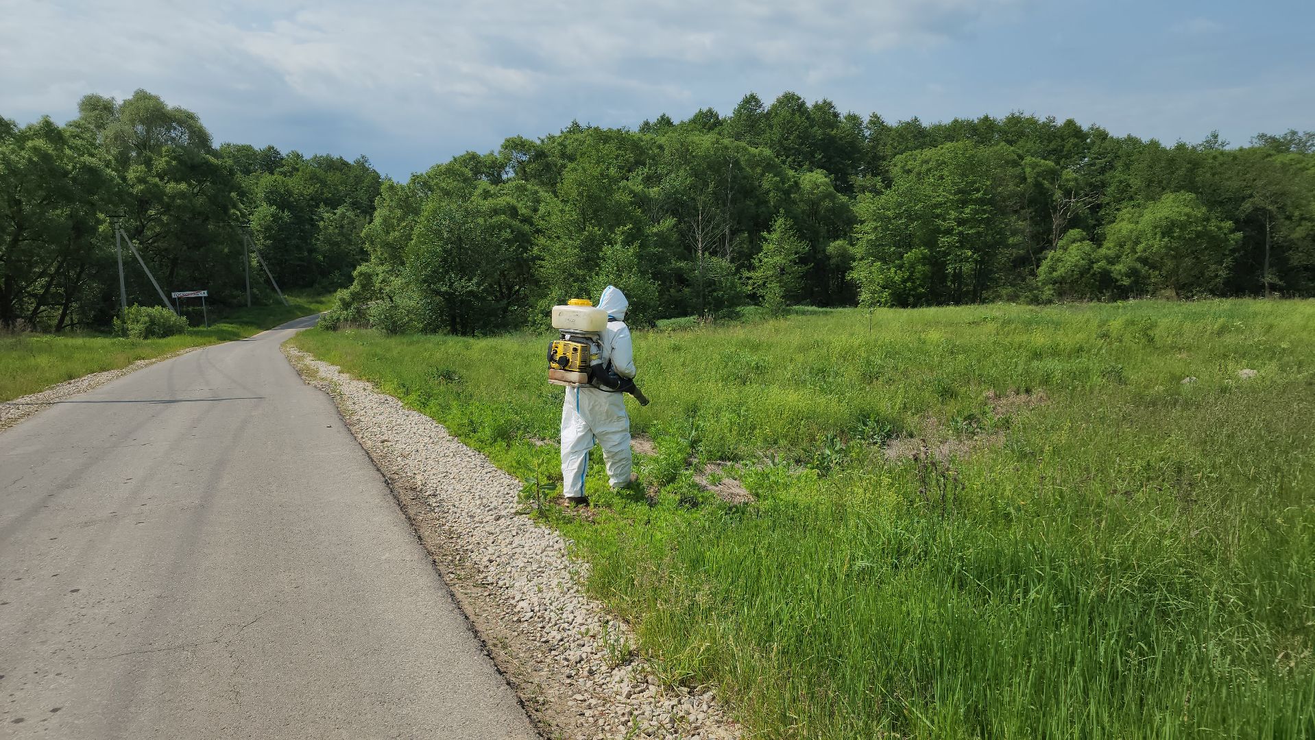 ступино, экология, борщевик, борщевик сосновского,